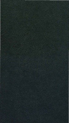 Rio de Janeiro: Perseverança, 1891., 1891