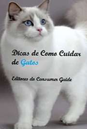 Dicas de Como Cuidar de Gatos