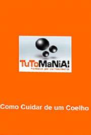 Site: tutomania
Muitas vezes seu filho quer um cachorro, mas você não tem espaço, tempo para cuidar dele e não suporta o cheiro e a sujeira. A saída pode ser um coelho. Veja os principais cuidados que um coelho requer.