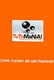 Site: tutomania
Dicas de como cuidar de um Hamster para quem já tem ou pretende ter este animal em casa.