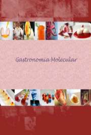 Gastronomia Molecular