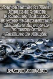   Comportamento de filtros rápidos de camada profunda no tratamento de águas de abastecimento mediante o emprego de polímeros como auxiliares de filtração Escola Politécnica / Engenharia Hidráulica