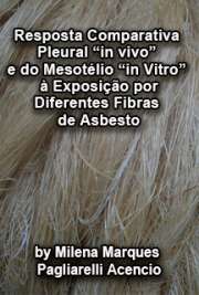   Resposta comparativa pleural "in vivo" e do mesotélio "in vitro" à exposição por diferentes fibras de asbesto Faculdade de Medicina