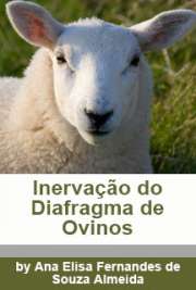 Inervação do diafragma de ovinos