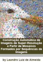   Construção automática de imagens de super-resolução a partir de mosaicos formados por sequências de imagens Escola de Engenharia de São Carlos / Processamento de Sinais e Instrumentação