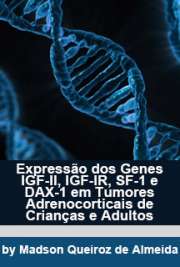   Faculdade de Medicina / Endocrinologia Universidade de São Paulo