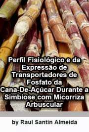   Perfil fisiológico e da expressão de transportadores de fosfato da cana-de-açúcar durante a simbiose com micorriza arbuscular Centro de Energia Nuclear na Agricultura / Biologia na Agricultura e no Ambiente