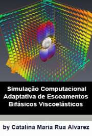   Instituto de Matemática e Estatística / Matemática Aplicada Universidade de São Paulo