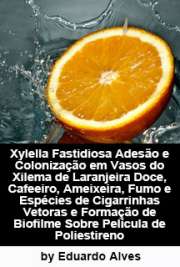   Xylella fastidiosa adesão e colonização em vasos do xilema de laranjeira doce, cafeeiro, ameixeira, fumo e espécies de cigarrinhas vetoras e formação de biof Escola Superior de Agricultura Luiz de Queiroz / Fitopatologia