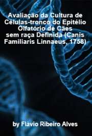   Avaliação da cultura de células-tronco do epitélio olfatório de cães sem raça definida (Canis familiaris Linnaeus, 1758) Faculdade de Medicina Veterinária e Zootecnia / Anatomia dos Animais Domésticos e Silvestres