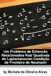   Um problema de extensão relacionado a raiz quadrada do Laplaciano com condição de fronteira de Neumann Instituto de Matemática e Estatística / Matemática Aplicada