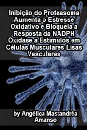   Inibição do proteasoma aumenta o estresse oxidativo e bloqueia a resposta da NADPH oxidase a estímulos em células musculares lisas vasculares Faculdade de Medicina / Cardiologia