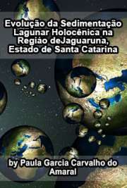   Evolução da sedimentação lagunar holocênica na região de Jaguaruna, Estado de Santa Catarina: uma abordagem sedimentológica-micropaleontológica integrada Instituto de Geociências / Geotectônica