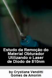  Faculdade de Odontologia / Endodontia Universidade de São Paulo
