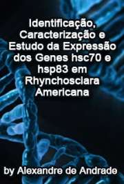   Identificação, caracterização e estudo da expressão dos genes hsc70 e hsp83 em Rhynchosciara americana Instituto de Química / Bioquímica