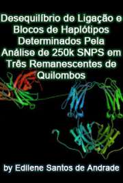   Desequilíbrio de Ligação e Blocos de Haplótipos Determinados pela Análise de 250K SNPs em Três Remanescentes de Quilombos Faculdade de Medicina de Ribeirão Preto / Genética