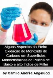   Alguns aspectos da eletroxidação de monóxido de carbono em superfícies monocristalinas de platina de baixo e alto índice de Miller Instituto de Química de São Carlos / Físico-Química