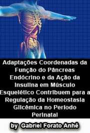   Adaptações coordenadas da função do pâncreas endócrino e da ação da insulina em músculo esquelético contribuem para a regulação da homeostasia glicêmica no p Instituto de Ciências Biomédicas / Fisiologia Humana