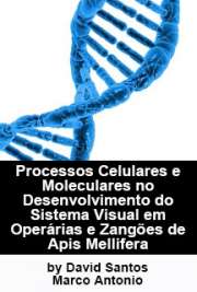   Processos Celulares e Moleculares no Desenvolvimento do Sistema Visual em Operárias e Zangões de Apis mellifera Faculdade de Medicina de Ribeirão Preto / Genética