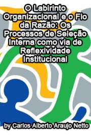   O labirinto organizacional e o fio da razão: os processos de seleção interna como via de reflexividade institucional Instituto de Psicologia / Psicologia Social