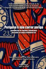   Perigoso é não correr perigo : experiências de viajantes clandestinos em navios de carga no Atlântico Sul Instituto de Filosofia e Ciências Humanas