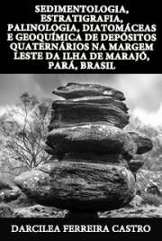   Sedimentologia, estratigrafia, palinologia, diatomáceas e geoquímica de depósitos quaternários na margem leste da Ilha de Marajó, Pará, Brasil Instituto de Geociências / Geotectônica