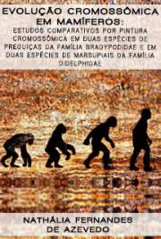   Evolução cromossômica em mamíferos: estudos comparativos por pintura cromossômica em duas espécies de preguiças da família Bradypodidae e em duas espécies de Instituto de Biociências / Biologia (Genética)