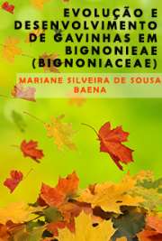 Instituto de Biociências / Botânica
Universidade de São Paulo

"As folhas das angiospermas sofreram grandes modificações funcionais e estruturais ao longo do tempo, e atualmente apresentam uma ampla diversidade de formas, tamanhos e arranjos. [...] O presente estudo investigou a evolução e o desenvolvimento dos diferentes tipos de gavinhas em Bignonieae e visou entender como mudanças na morfogênese foliar geraram os padrões atuais de variação morfológica das mesmas. [...] o padrão de expressão encontrado sugere que PHAN pode ter um papel importante no estabelecimento da polaridade em gavinhas e no surgimento dos vários tipos de gavinha encontrados na tribo. Além disso, o padrão de expressão do LFY/FLO em primórdios foliares nos levou a inferir que LFY/FLO pode ter um papel importante na separação de novos órgãos a partir de zonas meristemáticas."

Baixar livros de Shootmeristmless 
Download ebooks grátis