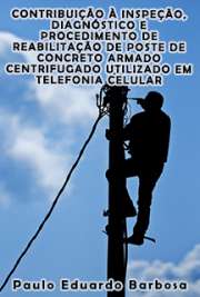   Contribuição à inspeção, diagnóstico e procedimento de reabilitação de poste de concreto armado centrifugado utilizado em telefonia celular Escola Politécnica / Engenharia de Construção Civil e Urbana