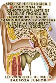   Análise histológica e funcional de xenotransplante de células-tronco da orelha interna de camundongos em cócleas de cobaias com perda auditiva induzida Faculdade de Medicina / Otorrinolaringologia