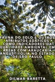   Fauna do solo e outros atributos edáficos como indicadores da qualidade ambiental em áreas com Araucaria angustifolia no Estado de São Paulo Escola Superior de Agricultura Luiz de Queiroz / Solos e Nutrição de Plantas