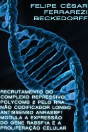   Recrutamento do complexo repressivo polycomb 2 pelo RNA não codificador longo antissenso ANRASSF1 modula a expressão do gene RASSF1A e a proliferação celular Instituto de Química / Bioquímica