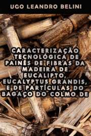   Caracterização tecnológica de painés de fibras da madeira de eucalipto, Eucalyptus grandis, e de partículas do bagaço do colmo de cana-de-açucar, Saccharum s Escola Superior de Agricultura Luiz de Queiroz / Recursos Florestais