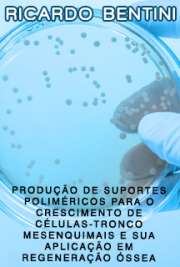   Produção de suportes poliméricos para o crescimento de células-tronco mesenquimais e sua aplicação em regeneração óssea Instituto de Química