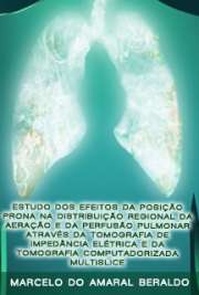   Estudo dos efeitos da posição prona na distribuição regional da aeração e da perfusão pulmonar através da tomografia de impedância elétrica e da tomografia c Faculdade de Medicina / Pneumologia