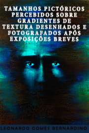   Tamanhos pictóricos percebidos sobre gradientes de textura desenhados e fotografados após exposições breves Faculdade de Filosofia, Ciências e Letras de Ribeirão Preto / Psicobiologia