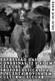   Faculdade de Medicina Veterinária e Zootecnia / Anatomia dos Animais Domésticos e Silvestres Universidade de São Paulo