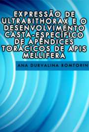   Expressão de Ultrabithorax e o Desenvolvimento Casta-Específico de Apêndices Torácicos de Apis mellifera Faculdade de Medicina de Ribeirão Preto / Genética