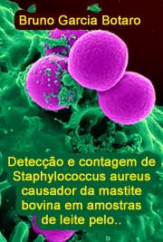   Detecção e contagem de Staphylococcus aureus causador da mastite bovina em amostras de leite pelo método de quantificação da reação em cadeia da polimerase e Faculdade de Medicina Veterinária e Zootecnia / Epidemiologia Experimental Aplicada às Zoonose