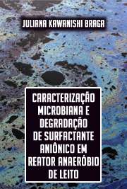   Caracterização microbiana e degradação de surfactante aniônico em reator anaeróbio de leito fluidificado com água residuária de lavanderia Escola de Engenharia de São Carlos / Hidráulica e Saneamento