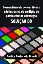   Desenvolvimento de uma técnica não intrusiva de medição do coeficiente de convecção: solução do problema térmico inverso Escola de Engenharia de São Carlos / Térmica e Fluidos