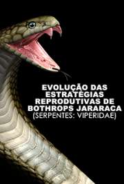 Faculdade de Medicina Veterinária e Zootecnia / Anatomia dos Animais Domésticos e Silvestres
Universidade de São Paulo

"Esse trabalho teve como objetivo estudar aspectos importantes das estratégias reprodutivas de machos e fêmeas de Bothrops jararaca do clado norte (CN) e sul (CS) e das ilhas de Búzios (SP), Ilhabela (SP) e ilha dos Franceses (ES). [...] Dessa forma, foram observadas variações geográficas nas características de histórias de vida entre as populações do CN e CS, porém, não foram observadas diferenças entre os padrões de ciclos reprodutivos. Assim, o ciclo reprodutivo de machos e fêmeas de B. jararaca do CN e do CS são conservativo na espécie."

Obrigado por baixar ebooks grátis de Biologia reprodutiva . online na melhor biblioteca do Mundo!