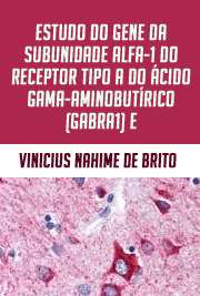   Estudo do gene da subunidade alfa-1 do receptor tipo A do ácido gama-aminobutírico (GABRA1) e avaliação eletroencefalográfica em meninas com puberdade precoc Faculdade de Medicina / Endocrinologia