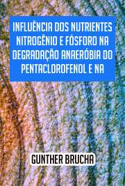   Influência dos nutrientes nitrogênio e fósforo na degradação anaeróbia do pentaclorofenol e na diversidade microbiana dos sedimentos enriquecidos do Estuário Escola de Engenharia de São Carlos / Hidráulica e Saneamento