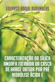   Caracterização da sílica amorfa extraída da casca de arroz obtida por pré-hidrólise ácida e calcinação, e sua aplicação em borracha de estireno-butadieno (SB Escola de Engenharia de Lorena / Materiais Aplicados ao Meio Ambiente