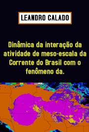   Dinâmica da interação da atividade de meso-escala da Corrente do Brasil com o fenômeno da ressurgência costeira ao largo de Cabo Frio e Cabo de São Tomé, RJ Instituto Oceanográfico / Oceanografia Física