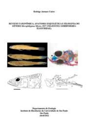 Revisão taxonômica, anatomia esquelética e filogenia do gê ...