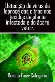   Detecção do vírus da leprose dos citros nos tecidos da planta infectada e do ácaro vetor Brevipalpus phoenicis Geijskes (Acari: Tenuipalpidae) Escola Superior de Agricultura Luiz de Queiroz / Fitopatologia