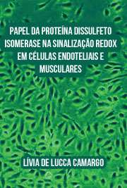 Papel da proteína dissulfeto isomerase na sinalização redox em células endoteliais e musculares lisas vasculares

Instituto de Ciências Biomédicas / Farmacologia
Universidade de São Paulo

"A proteína dissulfeto isomerase (PDI) tem ganhado destaque em processos de sinalização celular. O objetivo deste trabalho foi investigar o papel da PDI na sinalização redox induzida por TNF-a em células endoteliais e por Angiotensina II (Ang II) em células musculares lisas vasculares (CMLV). [...] Desta forma, podemos concluir que a PDI apresenta um papel na regulação da sinalização redox induzida por TNF-a e Ang II em células endoteliais e CMLV, respectivamente. Tais resultados apontam para um novo papel da PDI na fisiopatologia do sistema cardiovascular."

 grátis de Farmacologia . online na melhor biblioteca do Mundo!