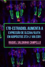 Instituto de Ciências Biomédicas / Fisiologia Humana
Universidade de São Paulo

"O GLUT4 (gene Slc2a4) é responsável pela captação de glicose sob estímulo insulínico, e alterações na sua expressão se relacionam à resistência à insulina (RI). [...] Avaliou-se em células 3T3-L1 a regulação da expressão de Slc2a4/GLUT4, a atividade de ligação de NFk-B e a captação de glicose pelo E2 e o papel de ESR1 (isoforma 1 do receptor de E2) nesta regulação. Tratou-se as células por 1 dia com E2 e PPT (agonista de ESR1). O PPT aumentou a expressão de Slc2a4/GLUT4 na ausência ou presença de E2 bem como a captação de glicose e diminuiu a atividade de ligação de NFk-B. Os resultados apresentados demonstram que o E2, atuando via ESR1 aumenta a expressão de Slc2a4/GLUT4, efeitos estes parcialmente mediados por NFk-B, resultando em alteração na captação de glicose."

 grátis de Endocrinologia . online na melhor biblioteca do Mundo!